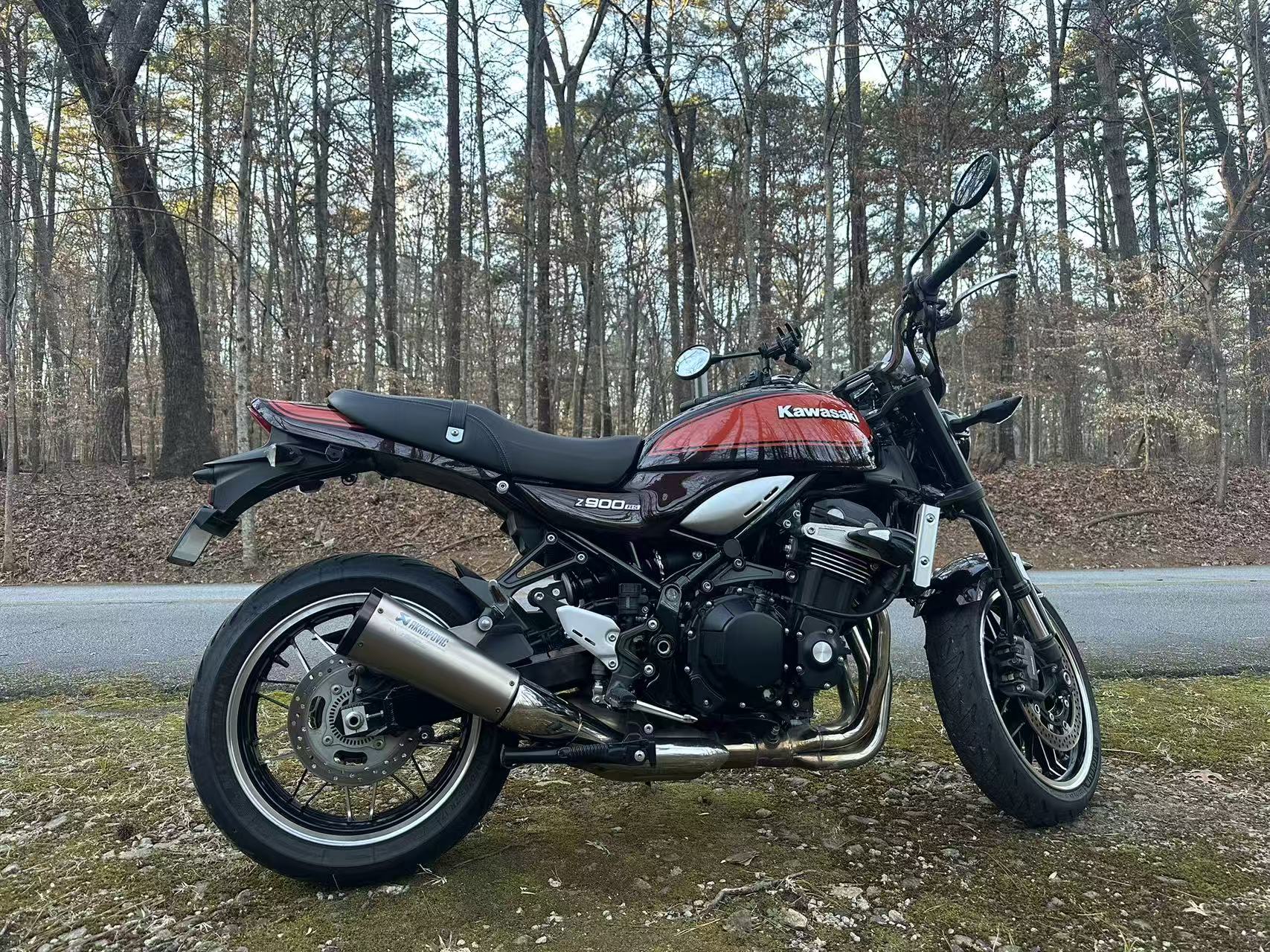 A Kawasaki Z900RS parked beside a forest road